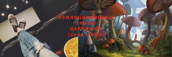 крисы Ростов