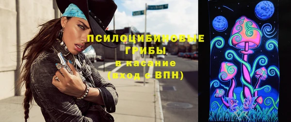 крисы Ростов