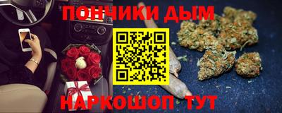 гидра Можга