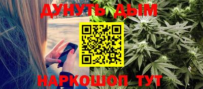 стафф Моздок