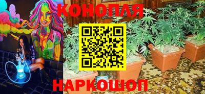 спиды Нальчик