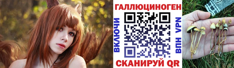 сколько стоит  Георгиевск  Галлюциногенные грибы MAGIC MUSHROOMS 