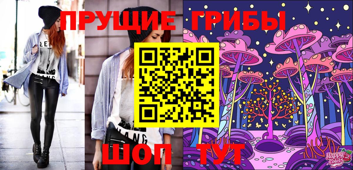 где продают   Псилоцибиновые грибы прущие грибы  Вход с VPN  Георгиевск 