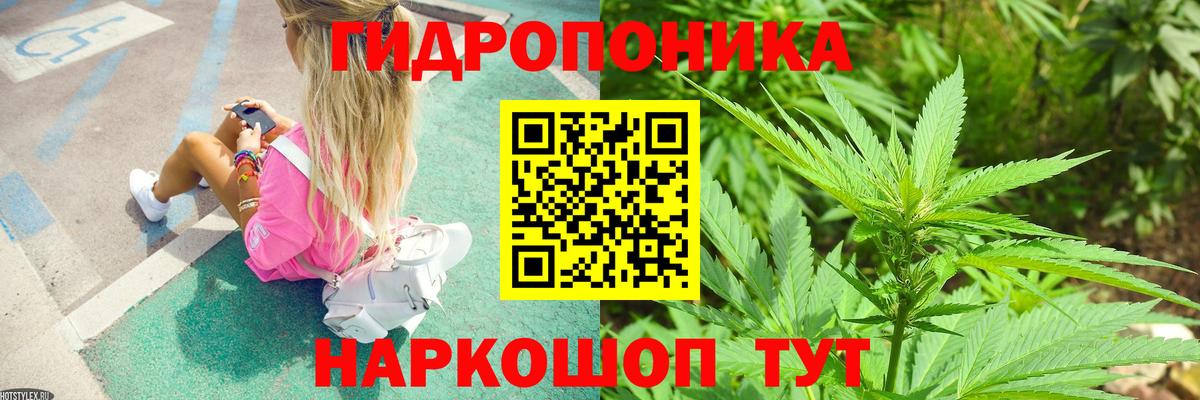 Канабис семена Георгиевск